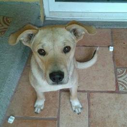 D c493790a 51fa 46f7 9eaf a49e57d38cfc