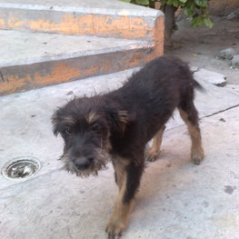 D 53829ba4 14a9 4c2b 82ab 252ec8b13c27