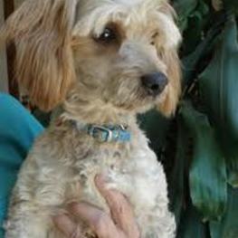 D 0e2a88fd fd9c 4b6f 82e9 39669c47d443