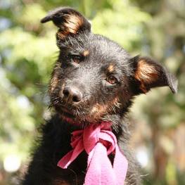 D 8a508f79 6cab 495f b6c4 27e324873d64