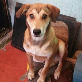 D 70dd4cca 1480 4826 be43 4b53fbe30073