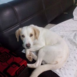 D e42a9ffd c2fa 48a6 b72b c4404e6b131d