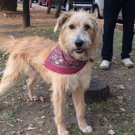 D a99423ed 4525 4a96 8671 c35133de2b61