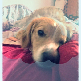 D 4dbf7e67 2a31 4a9f 94e6 dfcd23d3dda7