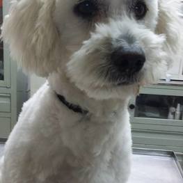 D 0ec53e23 7036 4dba 8329 91bcb998bb85