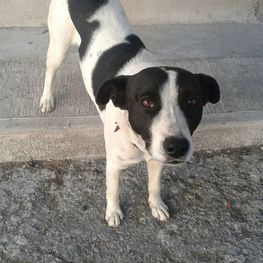 D 459bc821 2dbe 4c8f 8867 bc82179beb4a