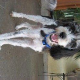 D 5a3ae9bb f7a5 47bb 8742 1606b565227c