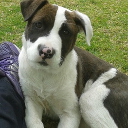 D 8c8d7fc6 e8e1 4e2d a0bf 4cfd1290c0c5