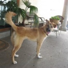 D f6c37fd2 fca8 4614 ba70 997658649904