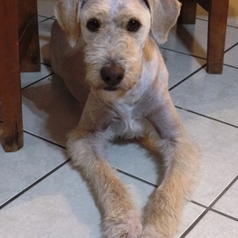 D 3141888c df92 4620 8b7c 273b3eddb759