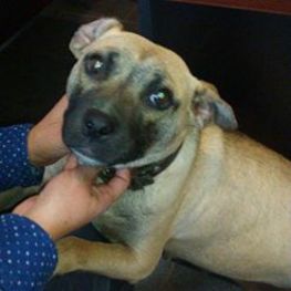 D 02c8438a dad8 4afd be5a b9db7582b819