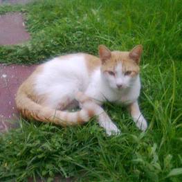 D 93acbc0c 2209 40ff 8e2b e4ff469f4955