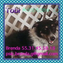 D 82c9dafd dcf0 4969 b7ff b8e2f370b3e9