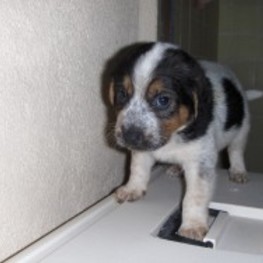 D a0831dc0 ddf2 41f3 bd35 0f9aeddd3c79