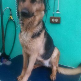 D bdc991cc f13d 4904 8f2e 5f7de55833c6