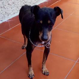 D 36c18462 f461 4c09 8e28 beedd85580e6