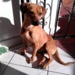 D b70f237a dc96 48af af09 c8a52832ac68