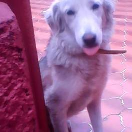 D 1c6ff591 6eda 4c8d 8bc1 f86c0e2f76c0