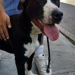 D 0298cee2 c55d 4f5b a7ed 37d088c53ae6