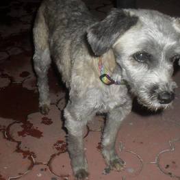 D a3e9cffb 80c9 4b9f 90eb 2a8bb918443e