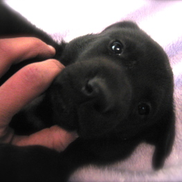 D 57b16ec7 b2c1 4d12 a309 38adfcf53c55