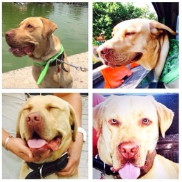 D 8901e840 93fd 4708 bb4f 7d4b4ea3a9eb