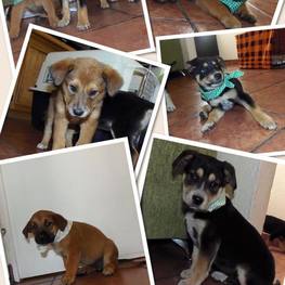 D a2a9cdf9 6e2d 47fc 9cc2 1db63b2c6c1e