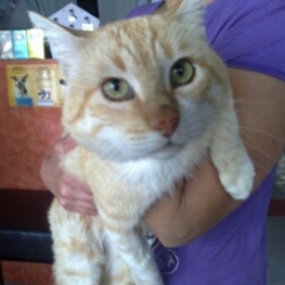 D f92fbabe 4e38 42ee a00a 38fca4edc3ff