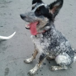 D c173c659 ee9d 4608 bc5d 419b2709beb3