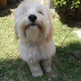 D 21efeff9 b8b1 46f4 baa8 df7e21eaa557