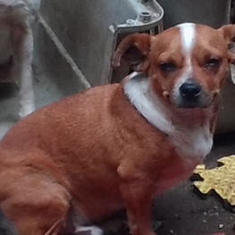 D bb395223 7e98 4b91 a13a a99eb26751e0