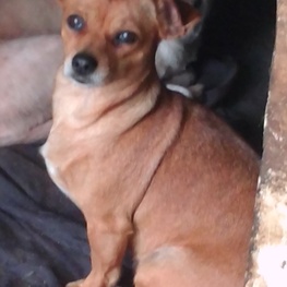 D e9efab98 f1e0 4b61 b55a be660e3097ac