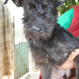 D 6900e6b7 4602 4738 9624 7f2ebdef86e2