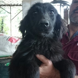 D f939bb38 bd7e 4e33 8c4a b3f30fae8da4