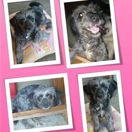 D 44c480af bc09 40dc a61b 7297cc920690