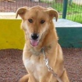 D fb21b07e b398 4031 814d 58a11756818d