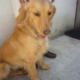 D b20351b2 bc6f 4262 9cdd bd8a26dae539