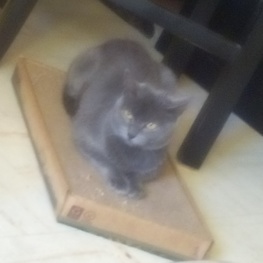 D a9239b04 69b9 458c b130 a7e74a1e91ae