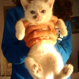 D a62c4f9d 592c 4f22 91ec 821e71af3ce2