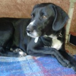 D ac7b4564 442d 4d49 8822 1684cfde31d3