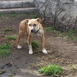 D afe01e64 0203 4d08 afcf 0fbde25d9245