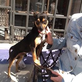 D 403f2ea6 9706 48f4 a8c5 36050d1fbff0