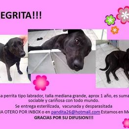 D e16e7092 bbdf 495c 9ca8 baa901bf0385