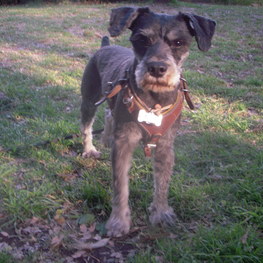 D 071a2c17 afd2 4556 b073 78210db0eb11