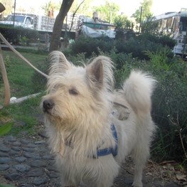 D 1e5a9921 6fa3 4ce8 9d41 f8a2b2fa3df2