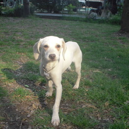 D d72cc25c cff0 44bf bbd0 e14a5678c646