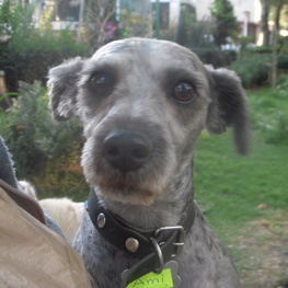 D 865a7b9c 22ec 4986 9797 82f93ad2ea43