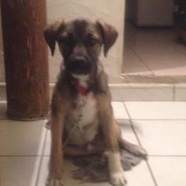 D a432338d 112b 454c a33b d5c052a0202d