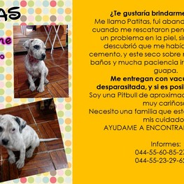 D 06d3c046 c7e9 4a74 8762 bafb2d5a4ca4