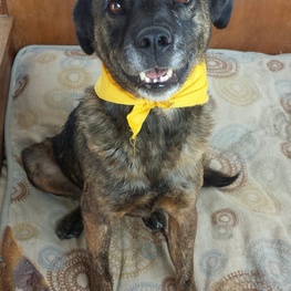 D c941245d c327 4253 8cc2 db76851cef16